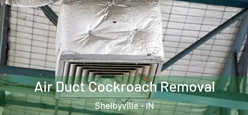  Air Duct Cockroach Removal Shelbyville - IN