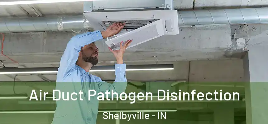  Air Duct Pathogen Disinfection Shelbyville - IN