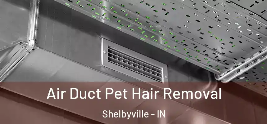  Air Duct Pet Hair Removal Shelbyville - IN