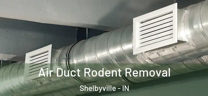  Air Duct Rodent Removal Shelbyville - IN
