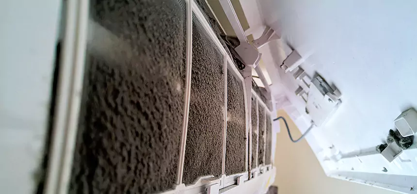 Preventive Air Duct Bacteria Removal in Shelbyville