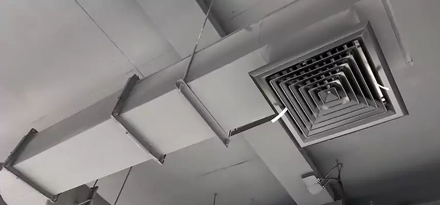 Our Pest Removal From Ducts Services in Shelbyville, IN