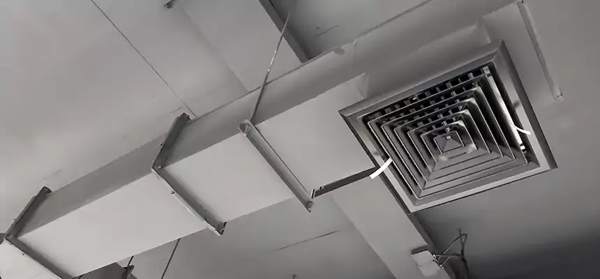 Our Rodent Droppings In Vents Services in Shelbyville, IN