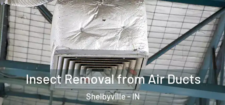  Insect Removal from Air Ducts Shelbyville - IN