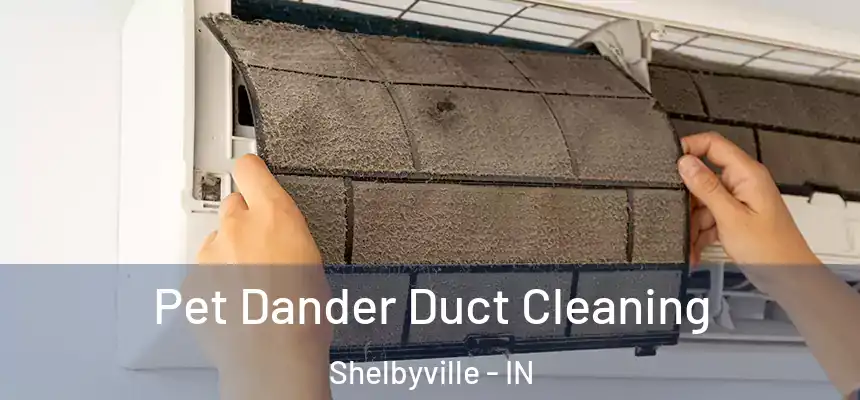  Pet Dander Duct Cleaning Shelbyville - IN