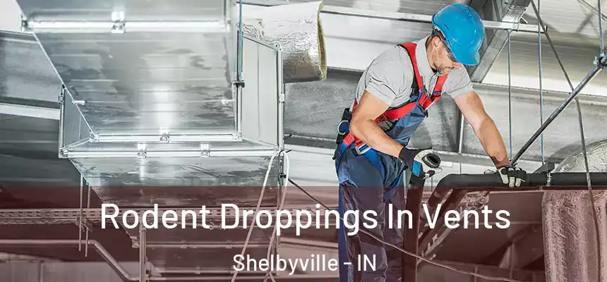  Rodent Droppings In Vents Shelbyville - IN