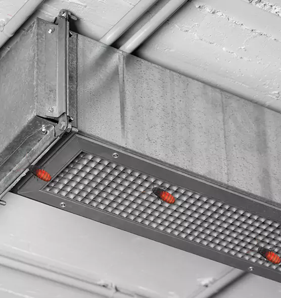 About Air Duct Cockroach Removal in Shelbyville, IN