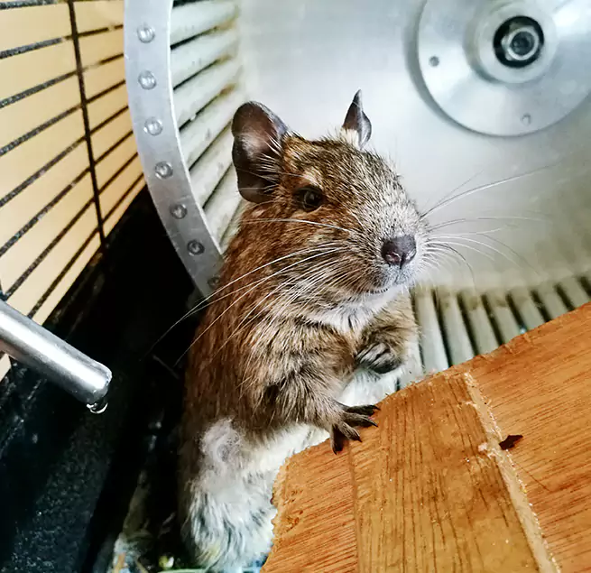 Why Homeowners & Businesses Trust Us Shelbyville, IN