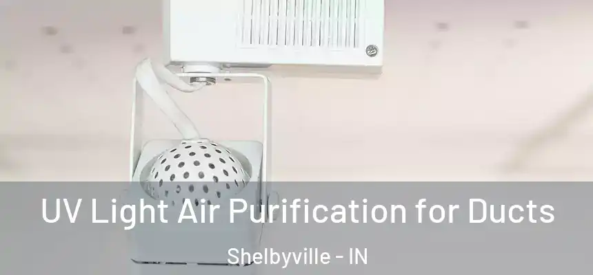  UV Light Air Purification for Ducts Shelbyville - IN